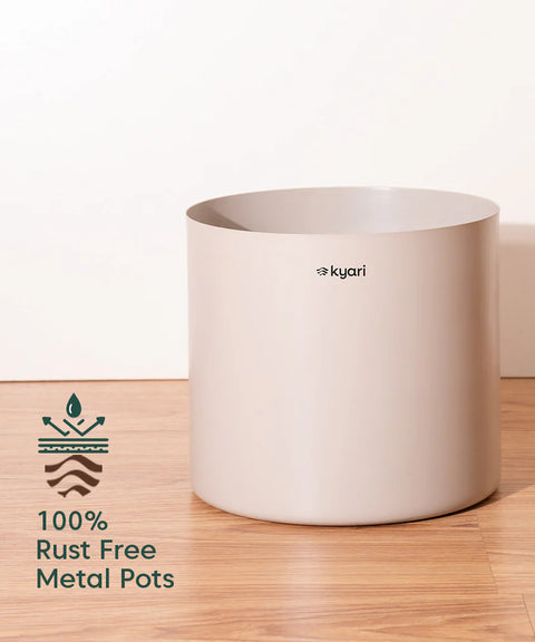 Monstera Deliciosa with Metal Self Watering Pot