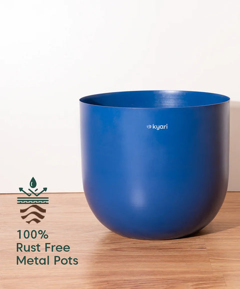 Monstera Deliciosa with Metal Self Watering Pot